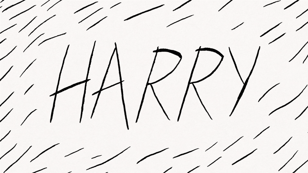 Harry Animation